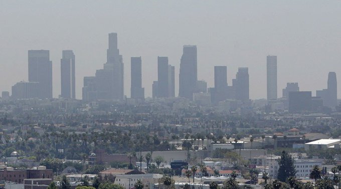 View image on Twitter