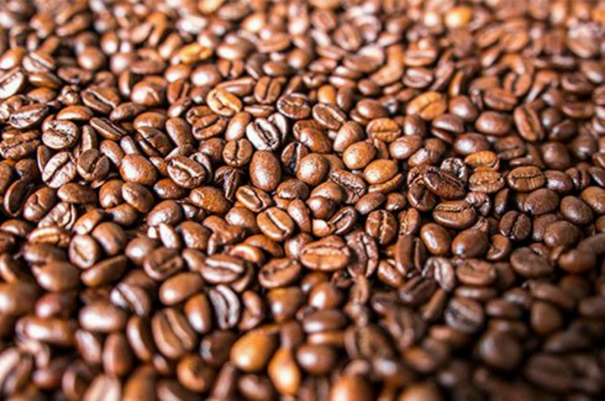 Positive Bulldog tweet media