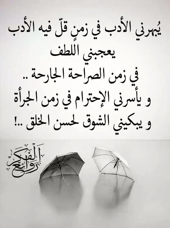 يبهرني الأدب في زمن قل فيه الأدب