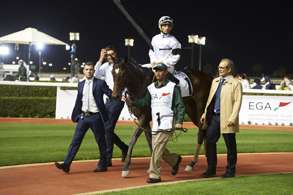 RacingDubai's tweet photo. Trainer @echarpy walks to the Winner's Enclosure with Al Maktoum Challenge victor, Furia Cruzada who has claimed 3 South American G1 wins https://t.co/2mdWLHGMul