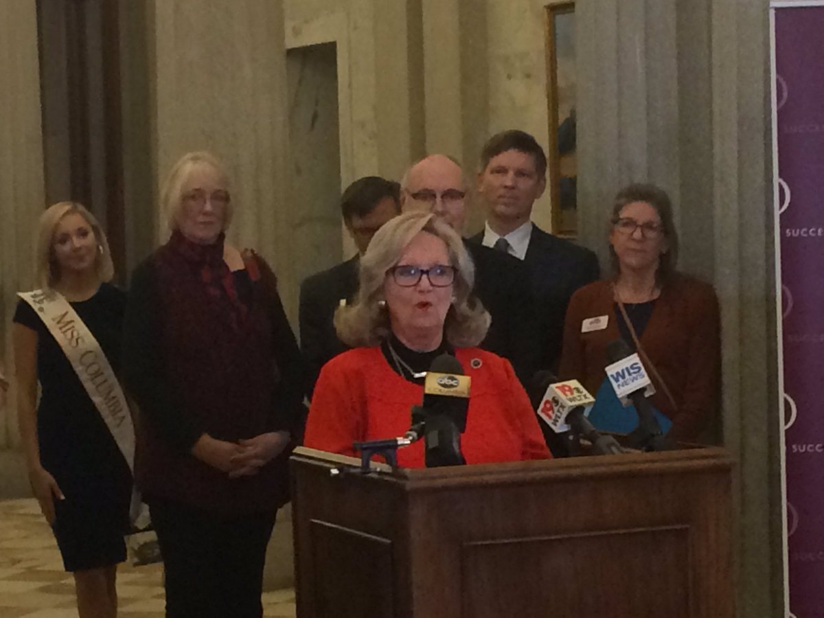 Rep. Rita Allison @ 2017 Childhood Common Agenda