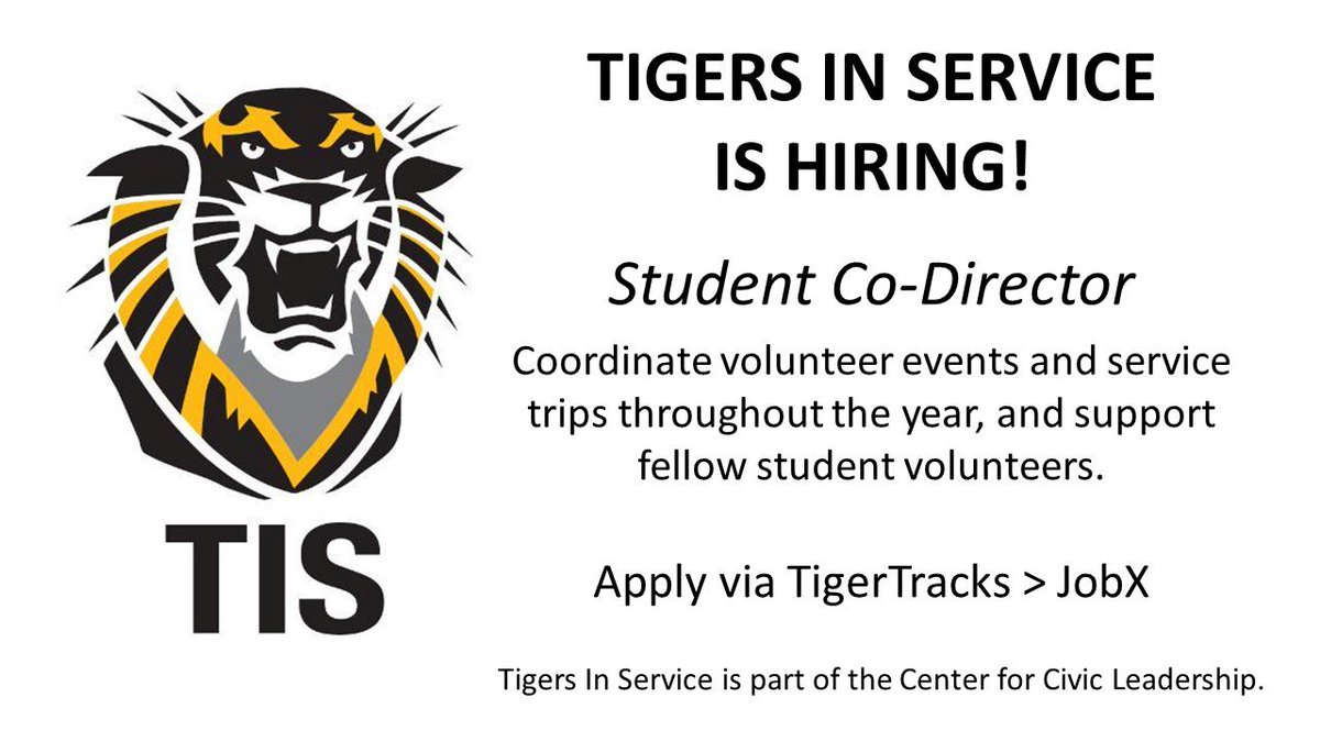 TigersInService tweet picture