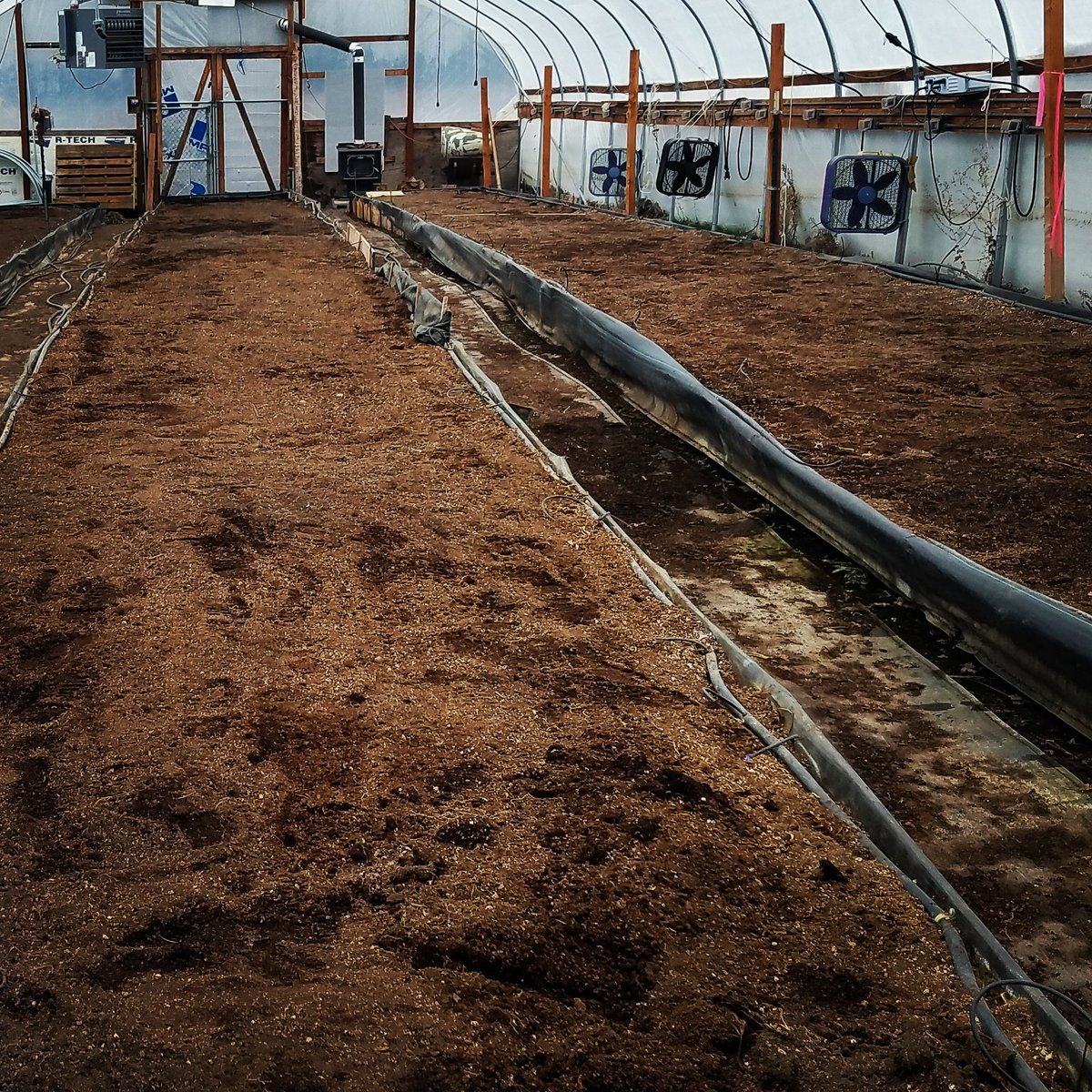 EmeraldTwist's tweet photo. Time to prep the greenhouse 💚 https://t.co/5lwSgJsX04