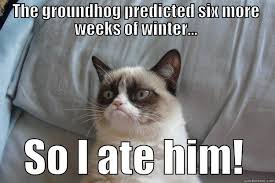 usell's tweet image. How do you feel about #punxsutawneyphil&apos;s #GroundhogDay prediction?