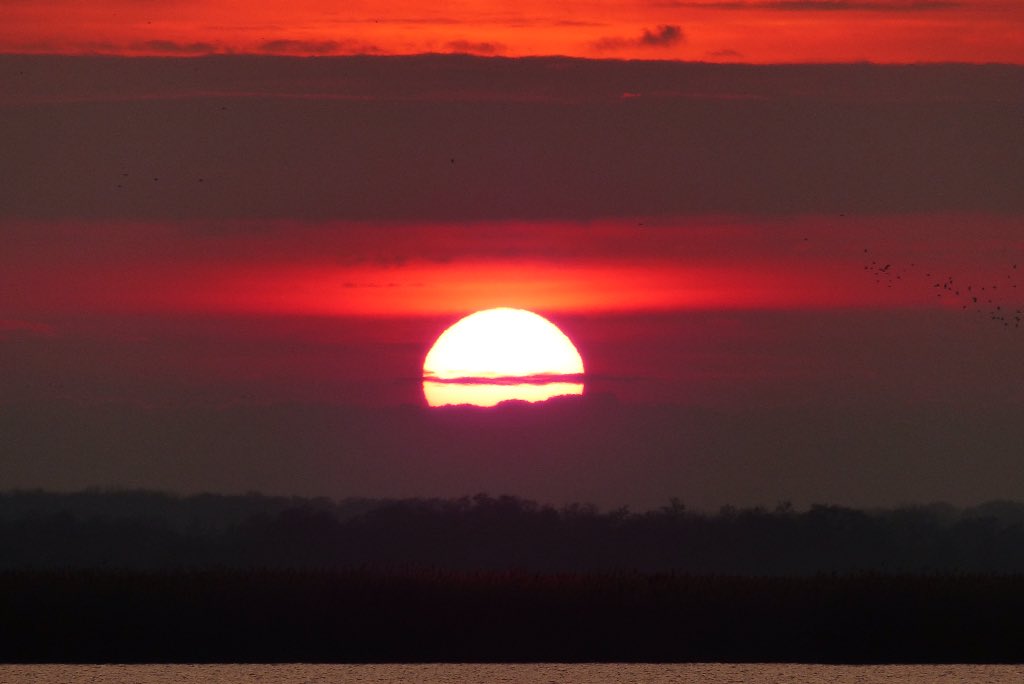 Ssunshot's tweet photo. #Groningen #Leekstermeer #Zonsondergang #2Feb2017
@Wnlvandaag @Helgavanleur @Mooieluchten @Mooielucht @BuienRadarNL @Rtvnoord https://t.co/RaVYIqus4T