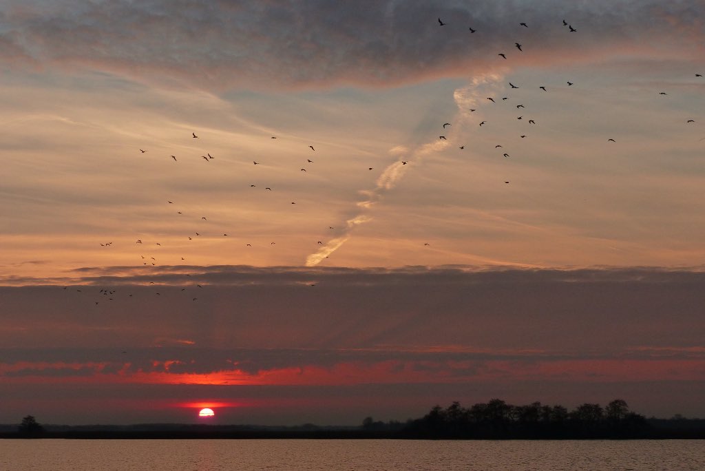 Ssunshot's tweet photo. #Groningen #Leekstermeer #Zonsondergang #2Feb2017
@Wnlvandaag @Helgavanleur @Mooieluchten @Mooielucht @BuienRadarNL @Rtvnoord https://t.co/RaVYIqus4T