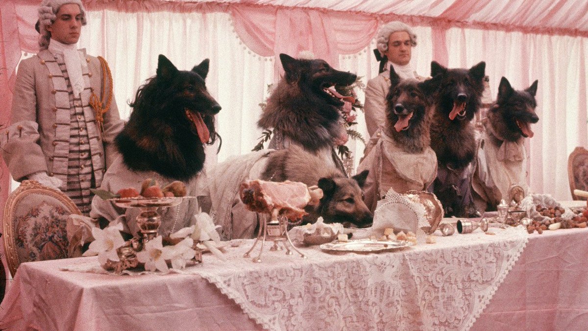 The Company of Wolves(1984)