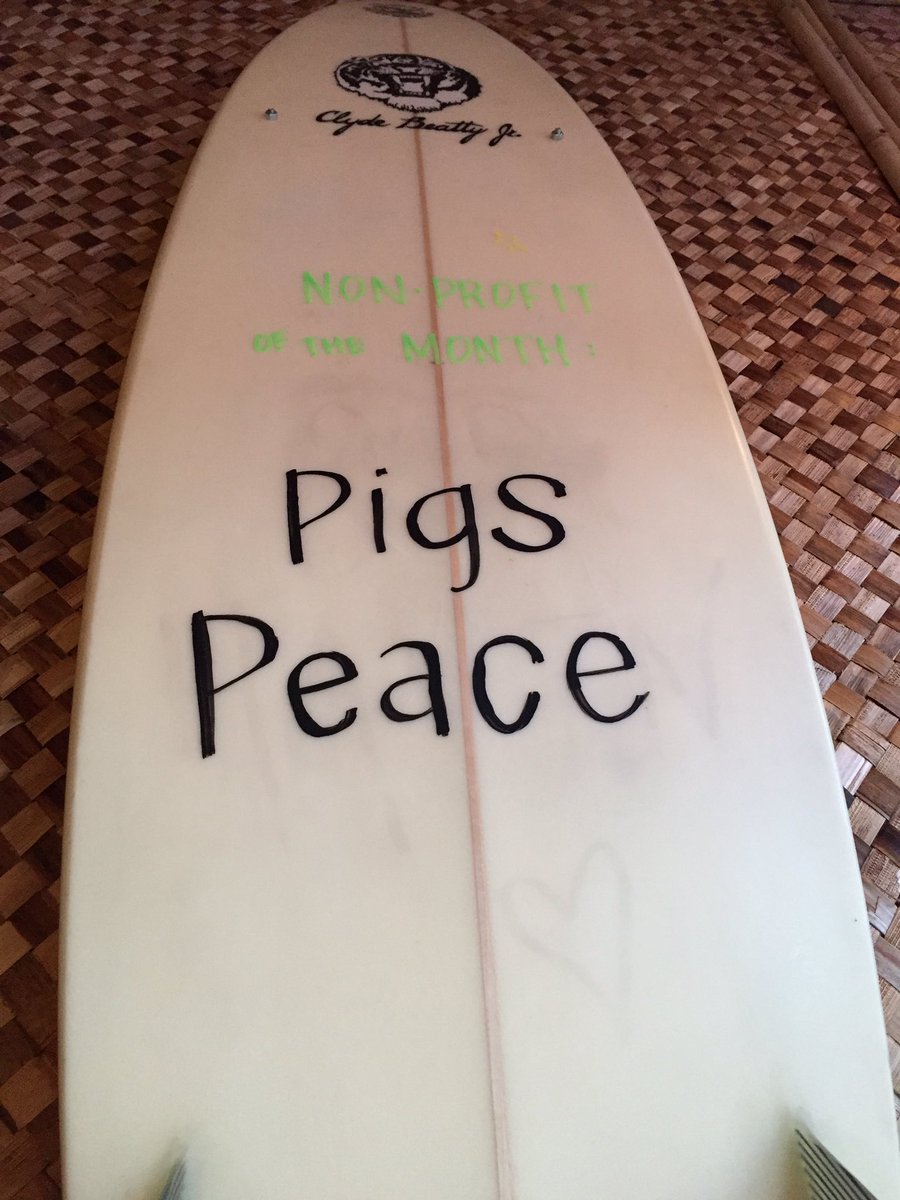 No Bones Beach Club® tweet media