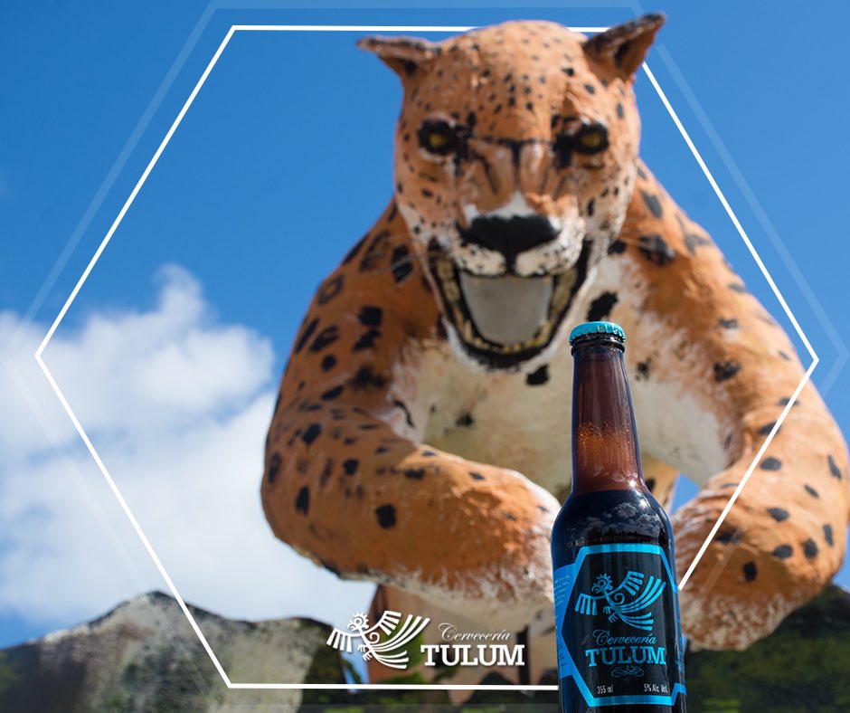 CerveceriaTulum's tweet photo. #NoSéTúPeroYo traigo una sed salvaje. 👀😂🍺🌴 #CerveceríaTulum https://t.co/POHlmh7Beg