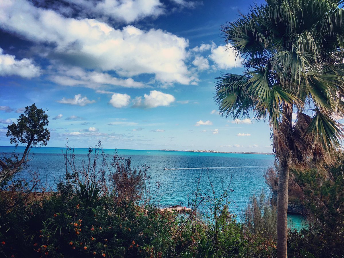 MacKinnonCarly's tweet photo. Bermuda you beauty π΄ #TBT #BusinessTrip #GrowTheGame #BermudaRugby #PoweredByAtavus https://t.co/P8cQcdMXNO
