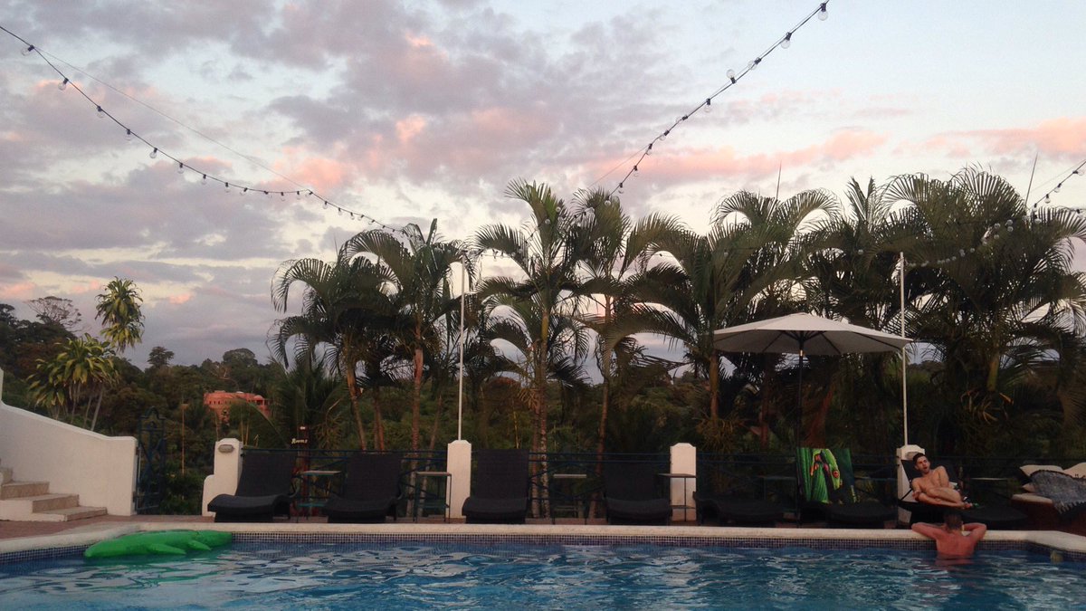 Alexandre Cozzika tweet media