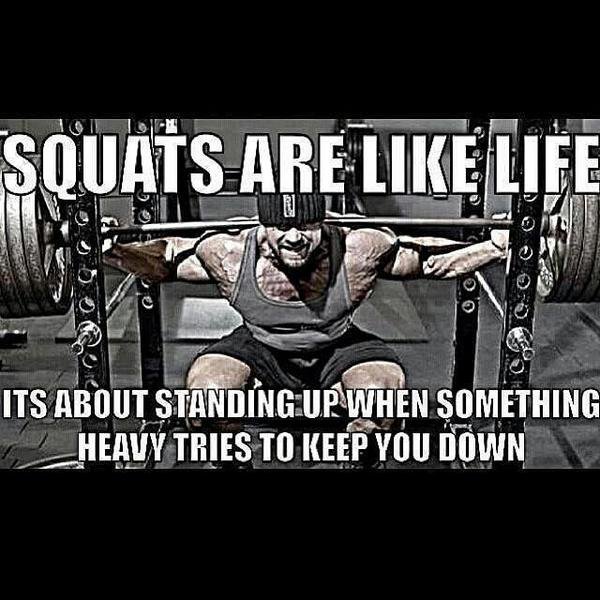 fitnessguy's tweet photo. RT @BringOntheShred: Squats are like life...
#fiftam #fitness #gym https://t.co/heeVnDP9zV