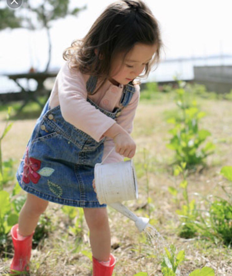 Getting kids into the garden connects them to their food: 'a tomato&ap...