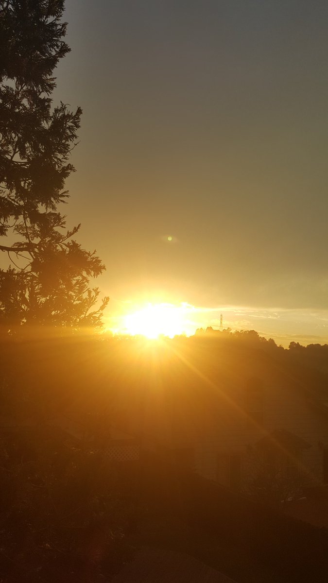 TheSweetLifePod's tweet photo. #WhatBringsMeJoy
It may not take a whole day to recognize sunshine but if it takes all day to see this view im good https://t.co/0EqRWdKRcB