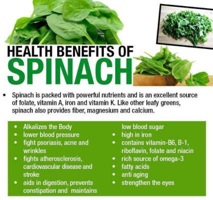 edengardenfv's tweet photo. Health Benefits of Spinach #Spinach #AntiAging #EyeHealth #Iron #HeartHealth #Vitamins #Minerals #Omega3 #Alkalizes #EdenGarden #Mississauga https://t.co/OvvBXIwfnq
