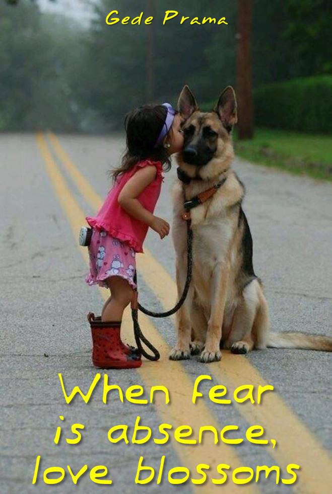 gede_prama's tweet photo. When fear is absence... https://t.co/w45WpLwScO https://t.co/3ntp01Ffm3