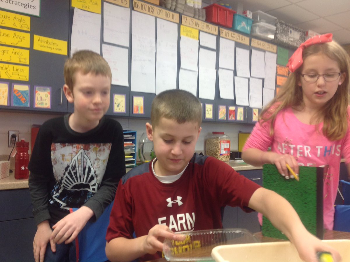 DavisKids2018's tweet image. Oil cleanup challenge #nevadacubpride #awesomescience