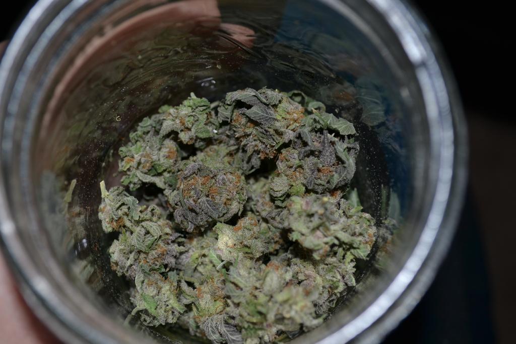 cmartin0725's tweet photo. Purple Afghan Kush(bubba kush Pre98 80% x purple kush 20%) 👊💪 #buddhastree #cleanrootsplatforms https://t.co/cBbebzJYy3