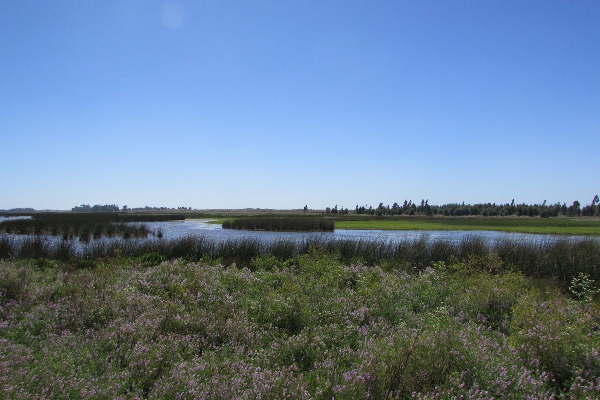 Seremi M.A. Maule tweet media