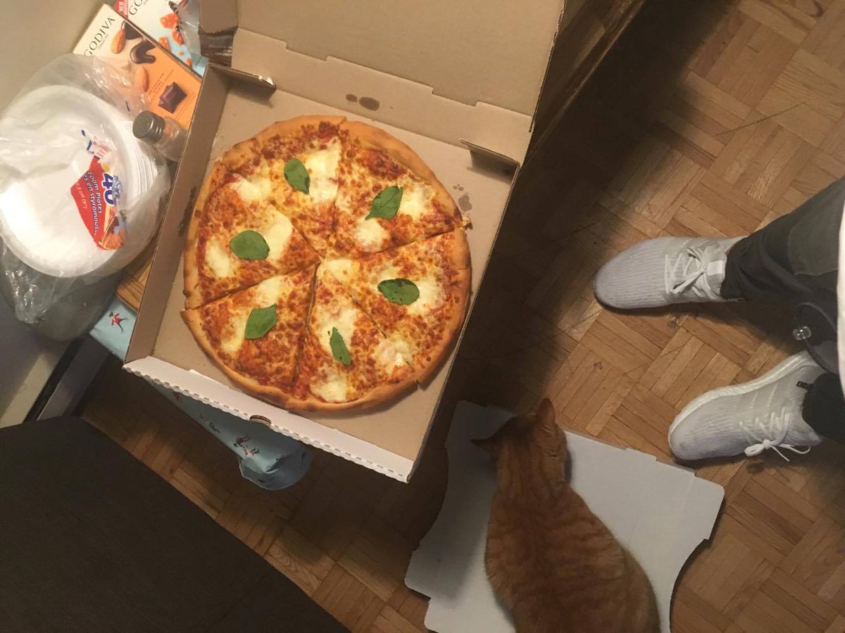 pregame. #marvelcat #mookeats @Kneadpizzanow #myhamilton #hamont #pizza. 🍕🍕🍕