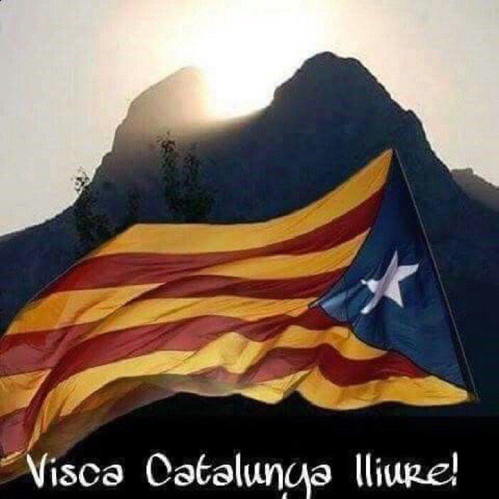 LluisCasanovas3's tweet photo. #El6FhiSeré #operaciodialeg la jus. no actua, #operacioprecinte al dia 1 la jus. torna a investigar a Catalunya.. Casuística o casualitat? https://t.co/fP2SmJyWJk