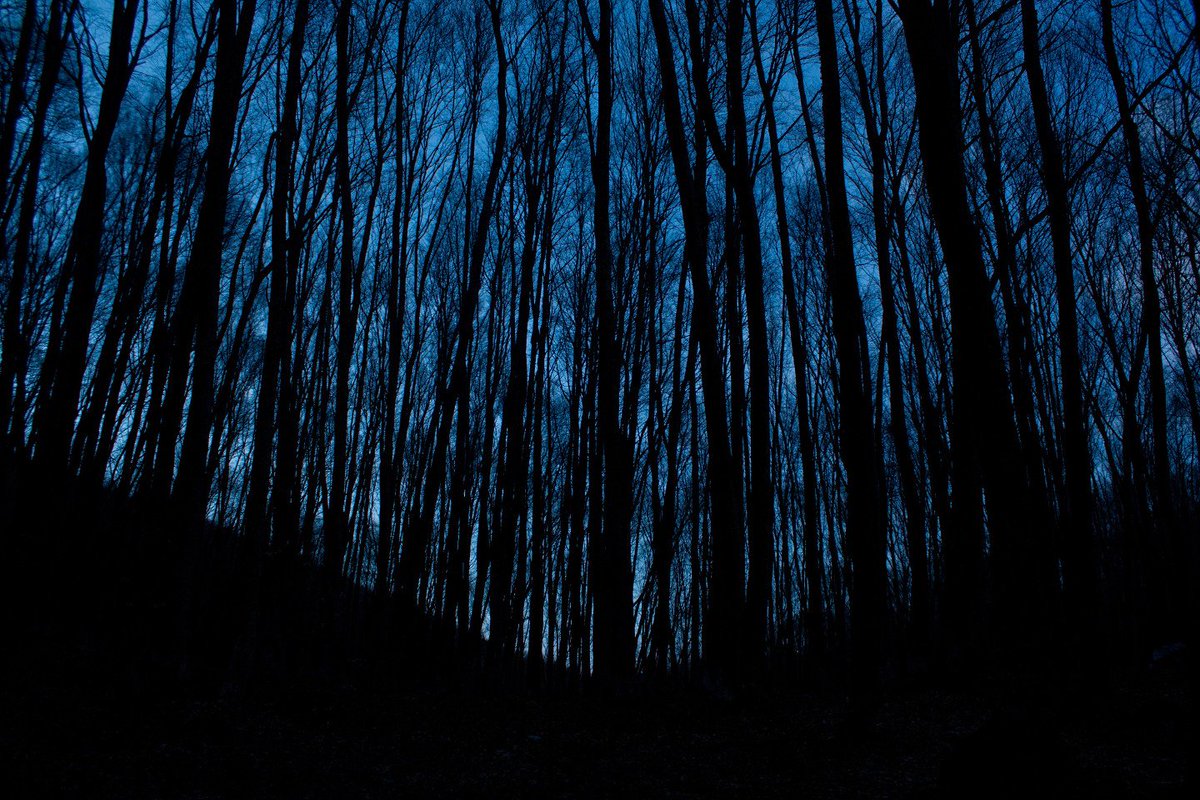 Feature Creep is Haunting WordPress Theme Developers »
richwp.com/feature-creep-… #wordpress #wordpressdevelopment #wordpressthemes