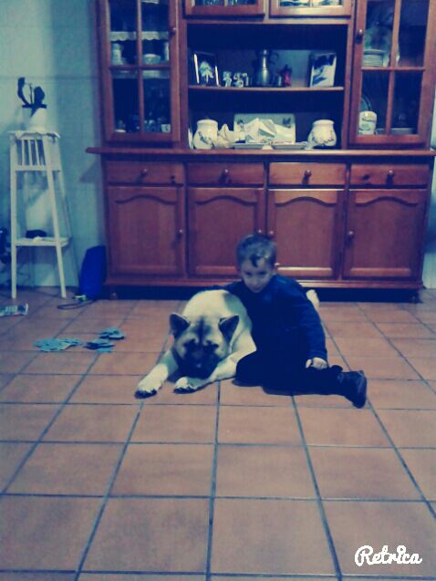 PALLAREGA77's tweet photo. #LandRober75  estes son Hugo e Niebla, unha boa parella!!!! https://t.co/QwyGTc8Ph0