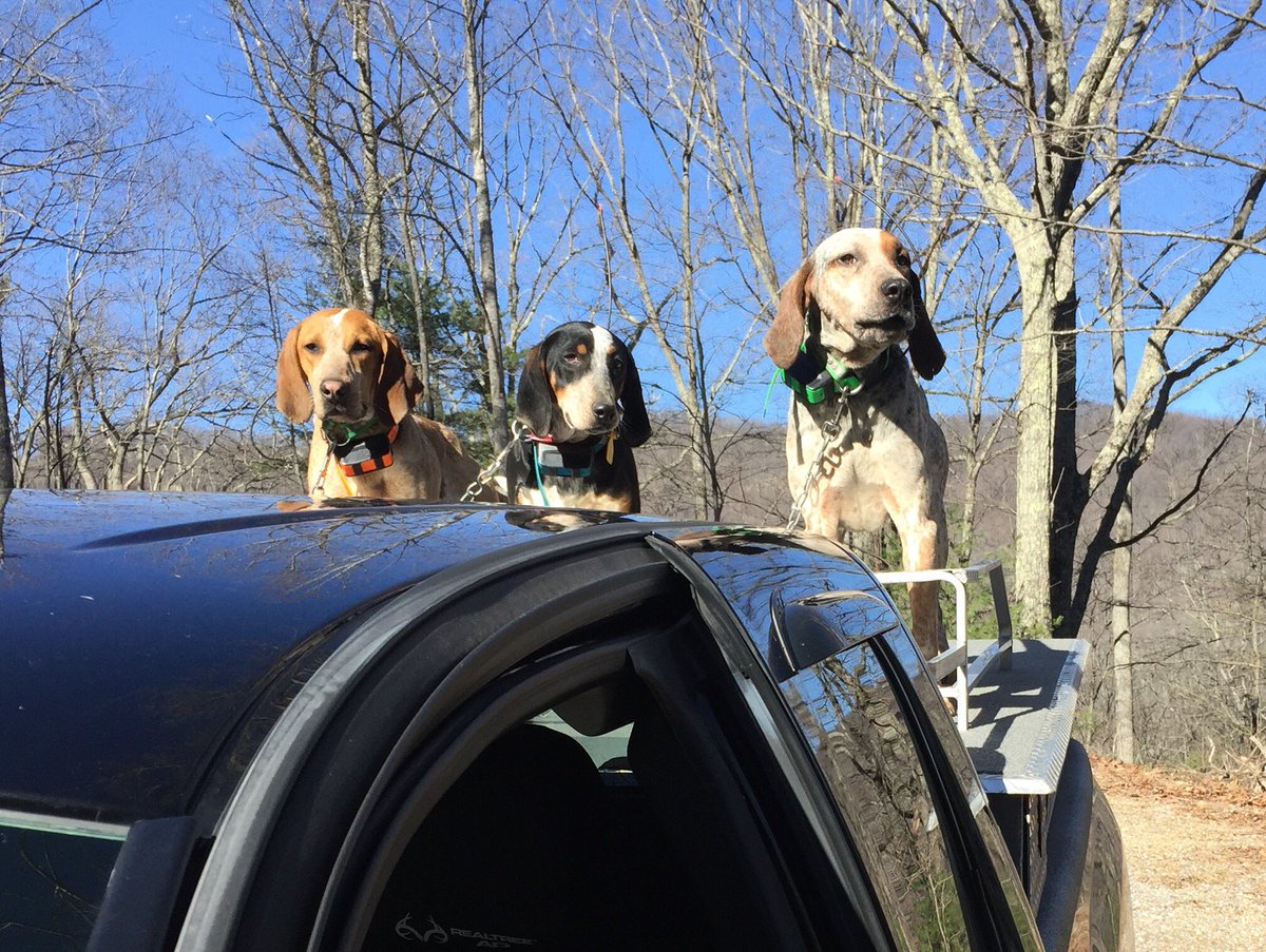 kf36jeff's tweet photo. Luke doing a little training with the pups https://t.co/JU7cgT64Tr