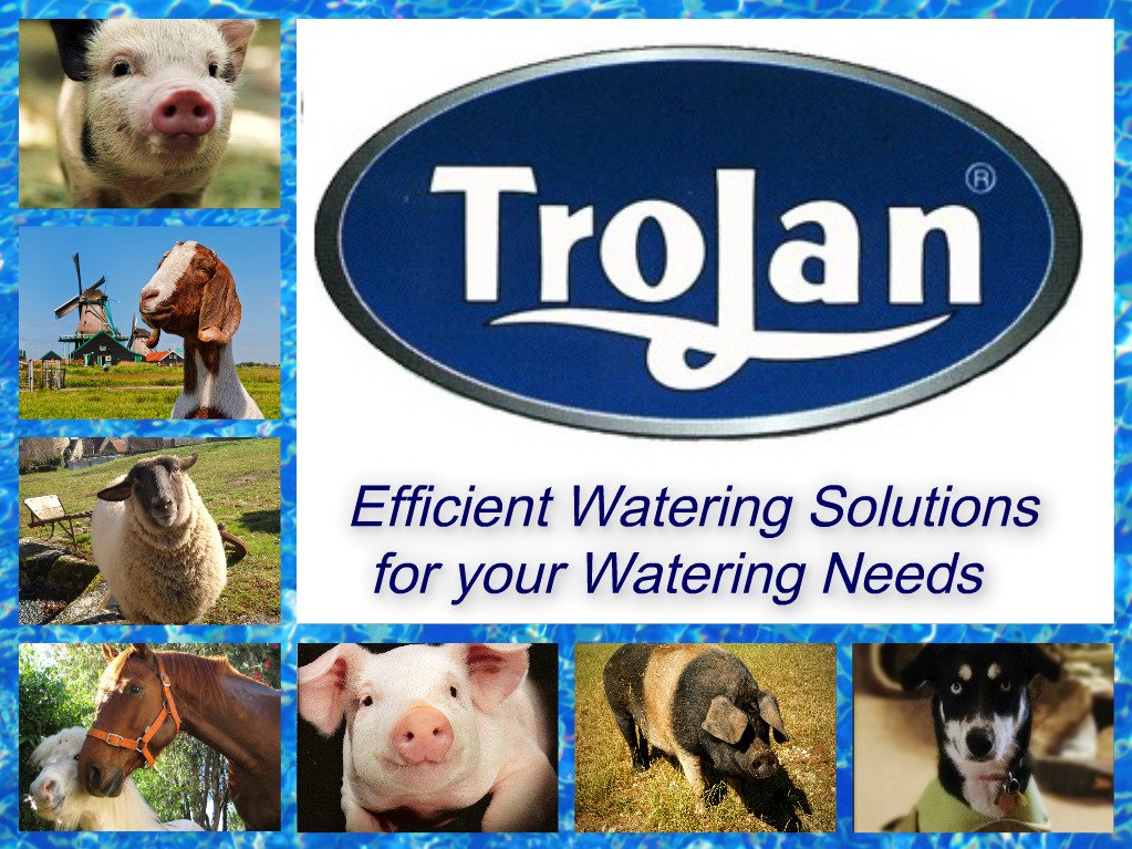 TrojanSpecialty's tweet photo. #WhatBringsMeJoy is knowing that I provide my animals with the freshest water every time they take a drink #TrojanWaterer
#AutomaticWaterer https://t.co/X6NB6GINd7