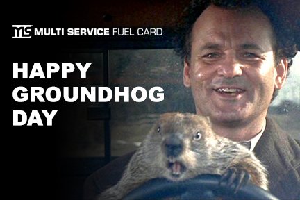 Happy Groundhog Day! I've got it straightened out. Rolling with the powerful card now! MultiServiceFuelCard.com #GroundhogDay