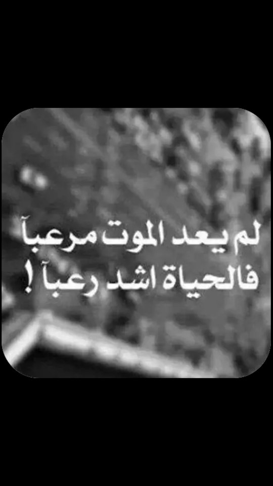 الورد (@ward4536) on Twitter photo 