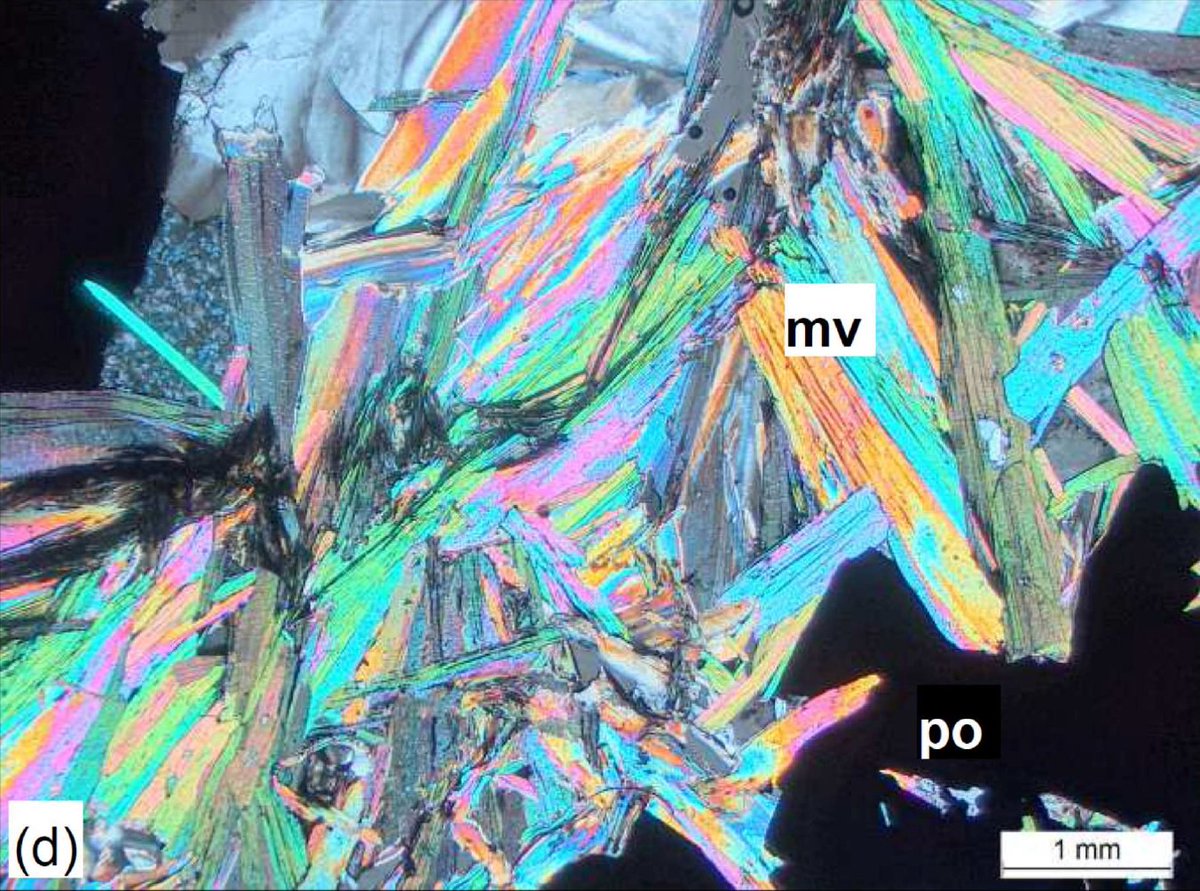 Muscovite can be used to date relatively low temp (~400 degC) events in rocks. This one from Thomson Orogen is 424 Ma #ThinSectionThursday