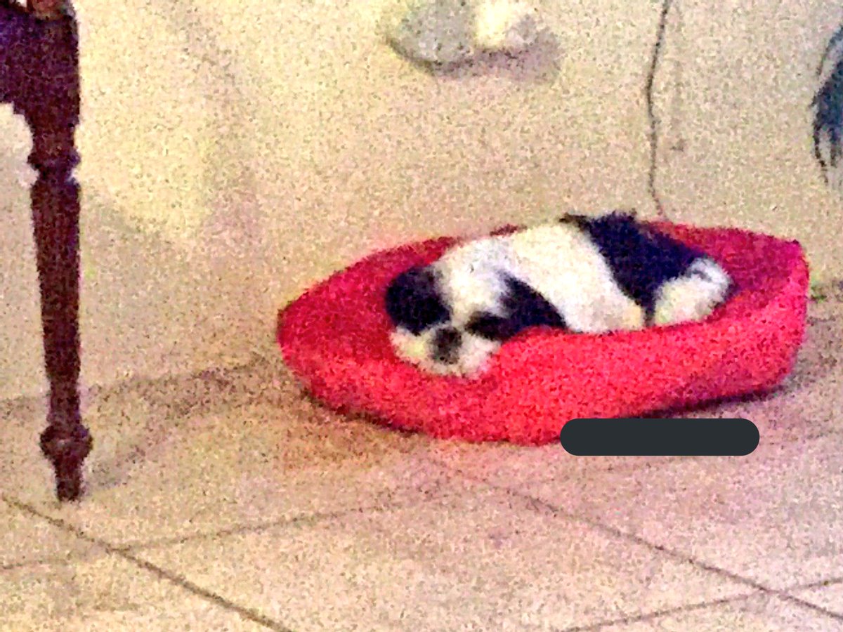 Happy Birthday Boo!!!!!