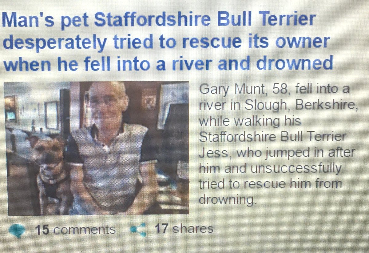 Luke_Farmer's tweet image. 2 stories sidebyside on @DailyMailUK. 1 shared 5X more. Things like this give #staffs a bad name. Bad owners-not bad #dogs. @BDCH @DogsTrust