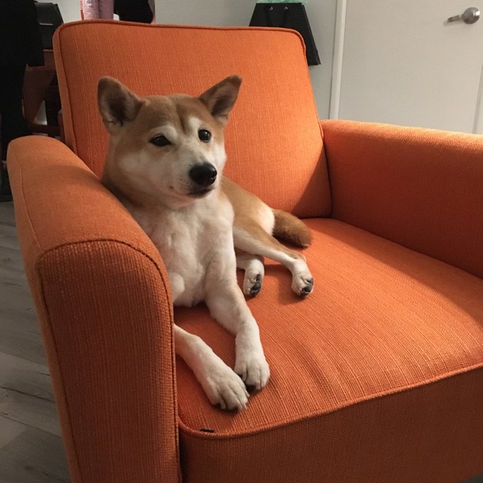 @michelledeidre Dagny misses you! https://t.co/xbBKXXfLGw