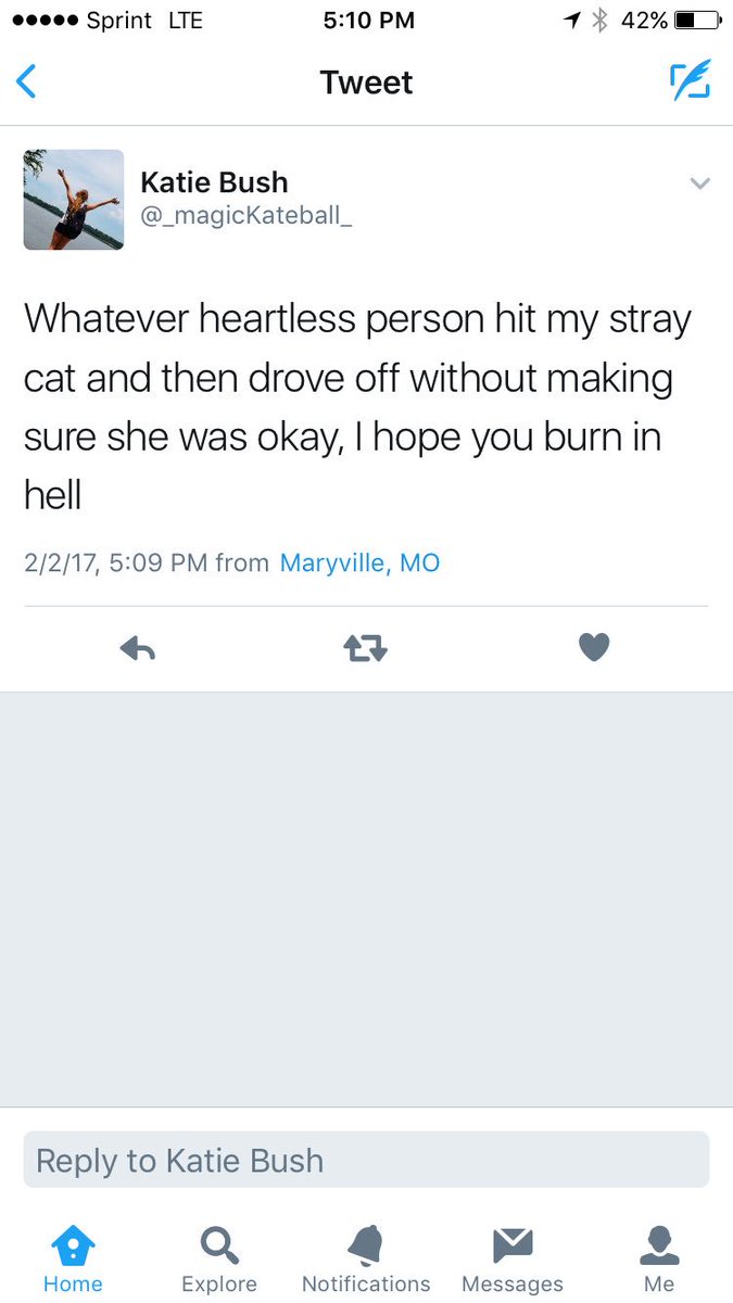 Zach Schneider tweet media