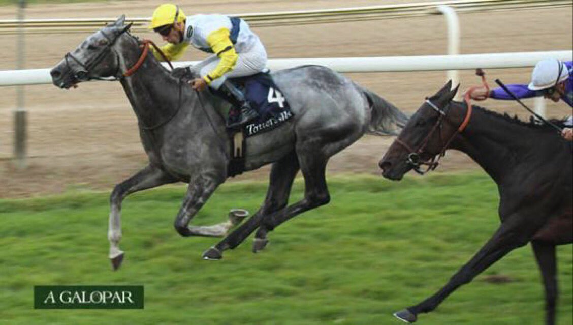 San Sebastian Racing tweet media