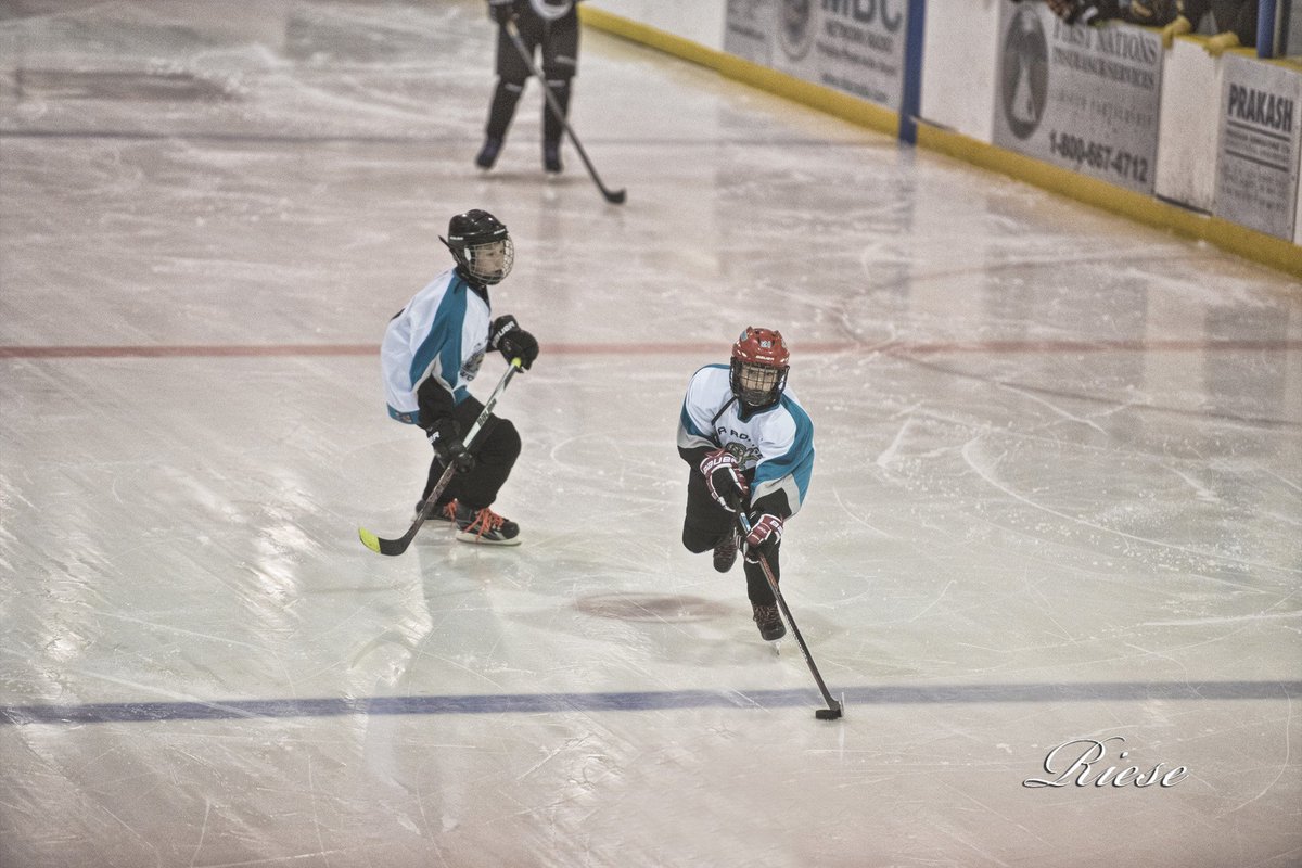 KandisRiese's tweet image. SHA Peewee "B" Provincial Playoffs La Ronge Ice Wolves vs. Dalmeny Sabres #LaRonge #JRMCC #PeeweeHockey #ActiveYouth