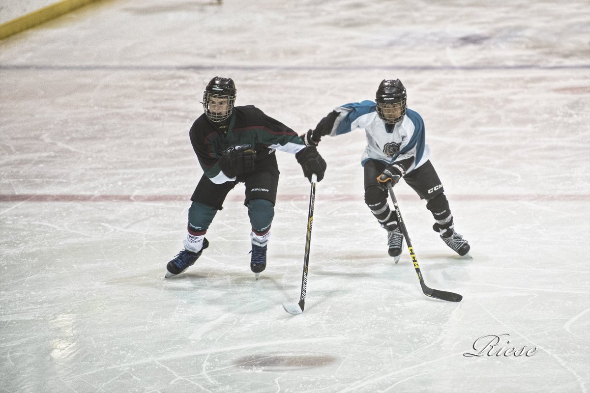 KandisRiese's tweet image. SHA Peewee "B" Provincial Playoffs La Ronge Ice Wolves vs. Dalmeny Sabres #LaRonge #JRMCC #PeeweeHockey #ActiveYouth