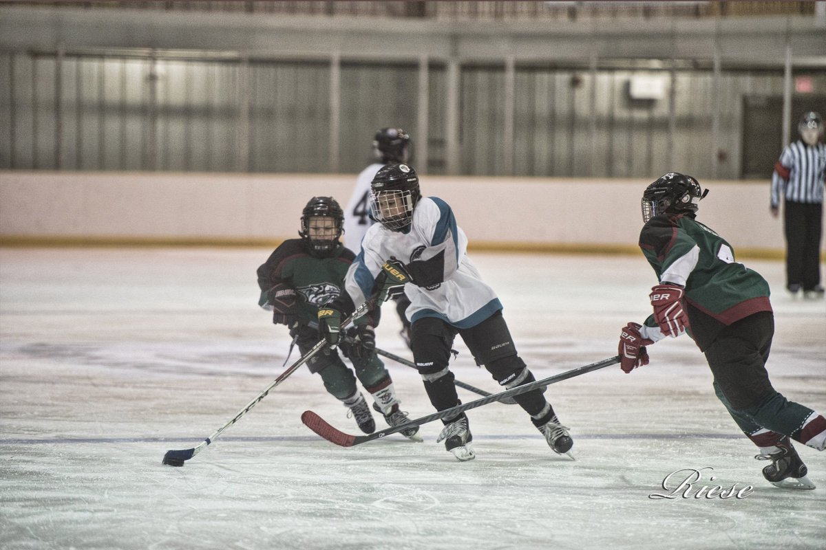 KandisRiese's tweet image. SHA Peewee "B" Provincial Playoffs La Ronge Ice Wolves vs. Dalmeny Sabres #LaRonge #JRMCC #PeeweeHockey #ActiveYouth