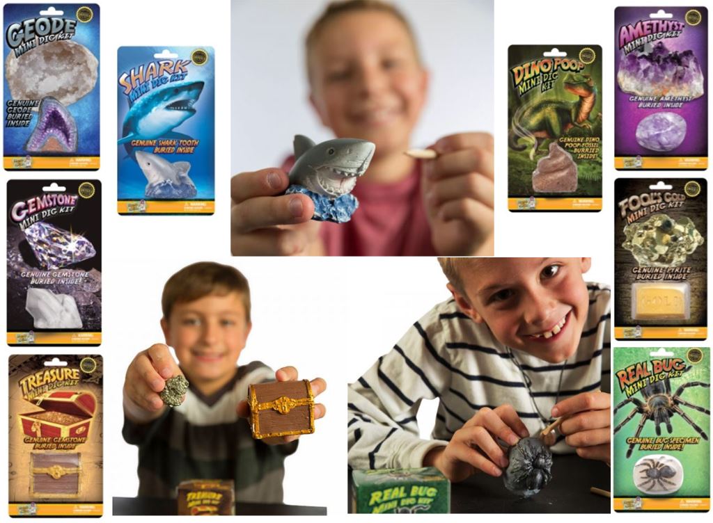 SplendidAnd's tweet image. Earth Science w/ REAL Fossils crwd.fr/2jD0nmS