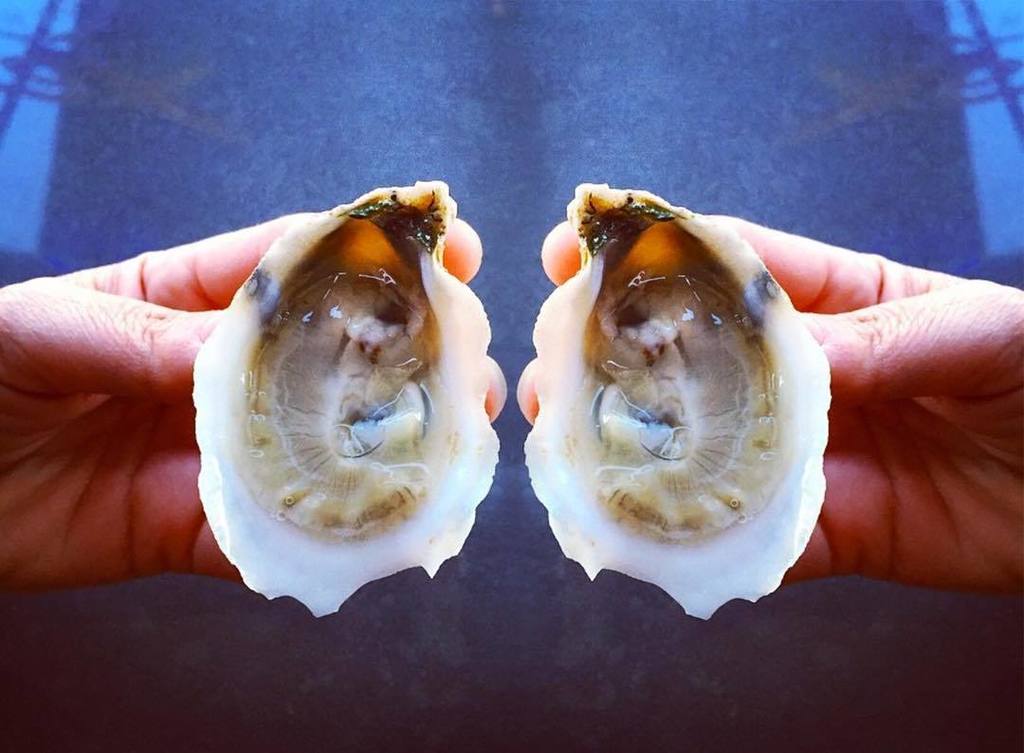 Oysters are for lovers. Celebrate Valentine's Day with a special 3-course meal for you and… ift.tt/2k1jweb