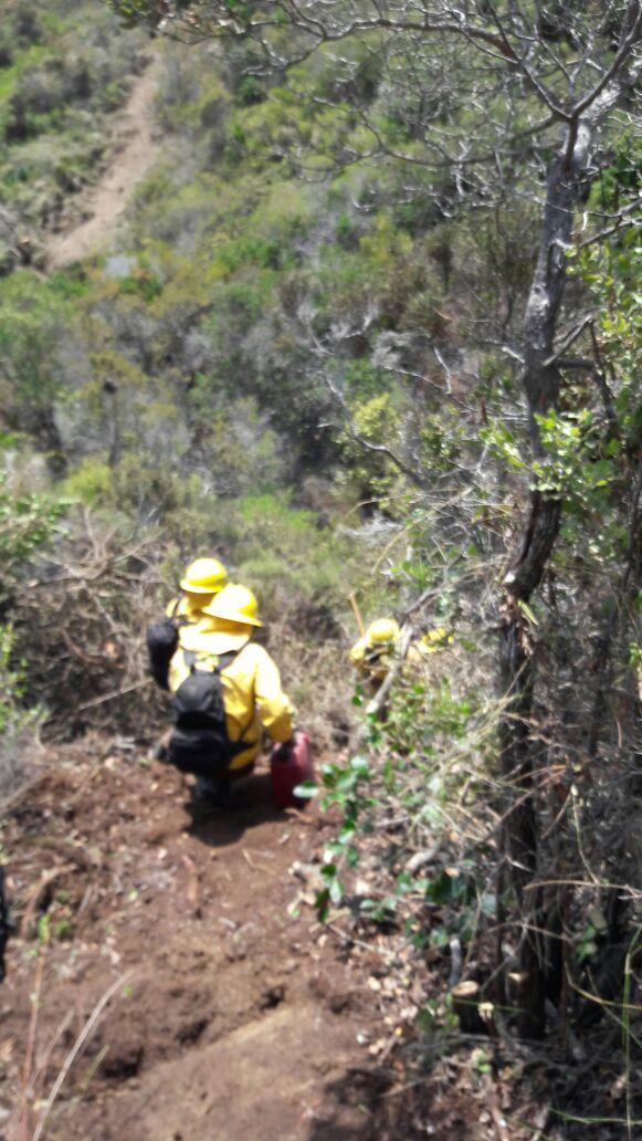 Bomberos De Panamá tweet media