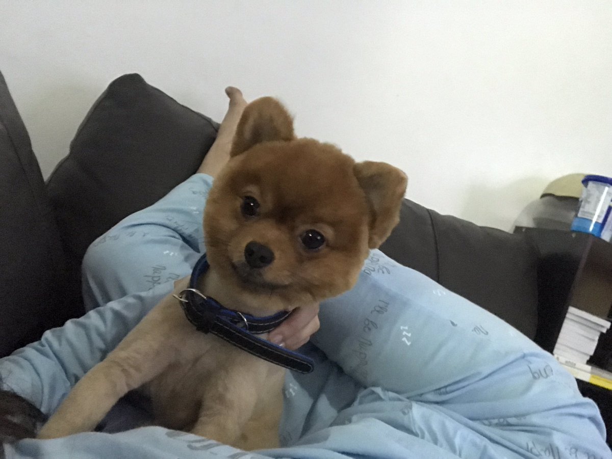 MissMarisRacal's tweet photo. Good morning my Gustave ❤️ https://t.co/sxO41qb1IM