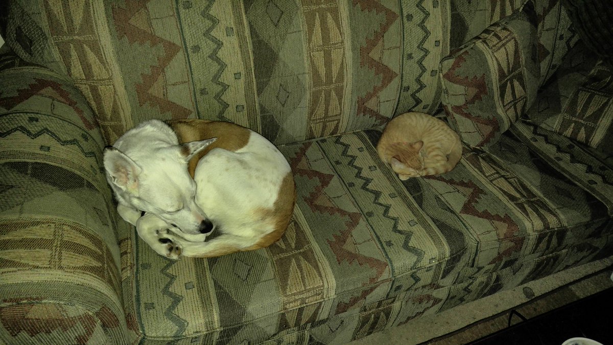 Homebound1983's tweet image. :)