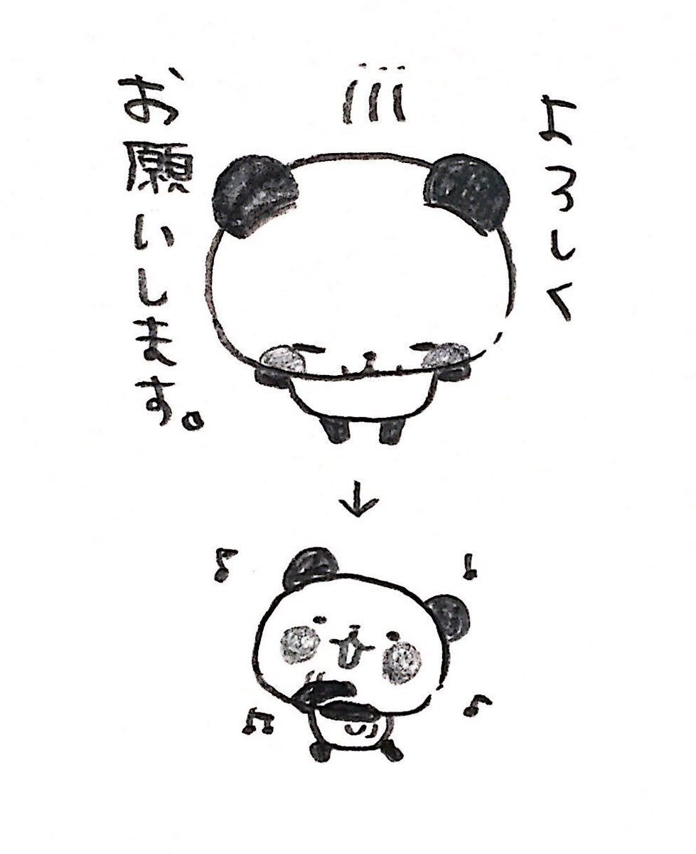 )パンダ〜´●.̫●`Ⅳ 感謝価格(ㅅ´꒳`