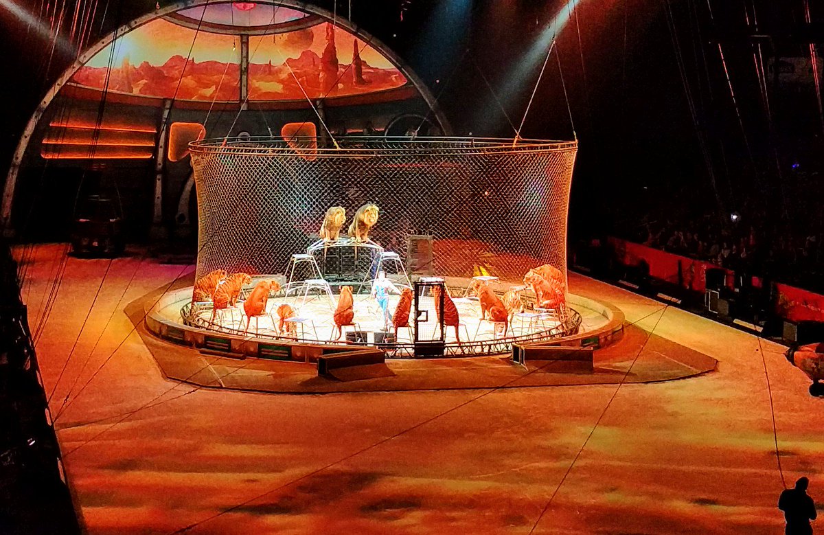 chriswritescode's tweet image. Kitty cats! #RinglingBros