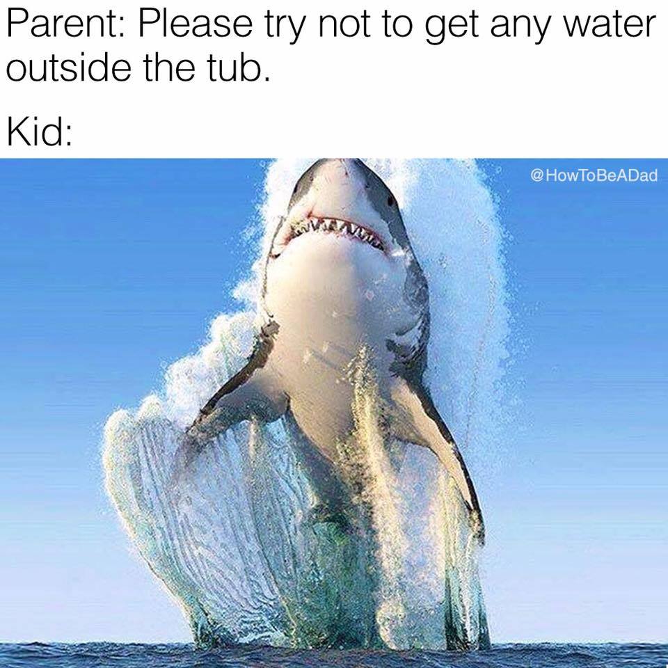 HuffPostFamily's tweet photo. Yea, not gonna happen. (via @HowToBeADad) https://t.co/40VUS4V2jj