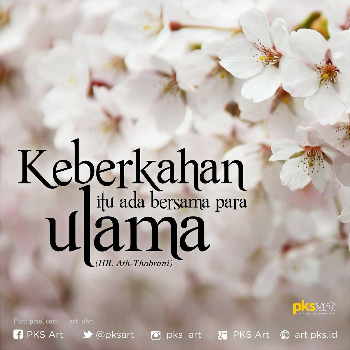 "Keberkahan itu ada bersama para ulama"
(HR. Ath-tabrani)
#CintaiUlama❤ 
#PKSBontang