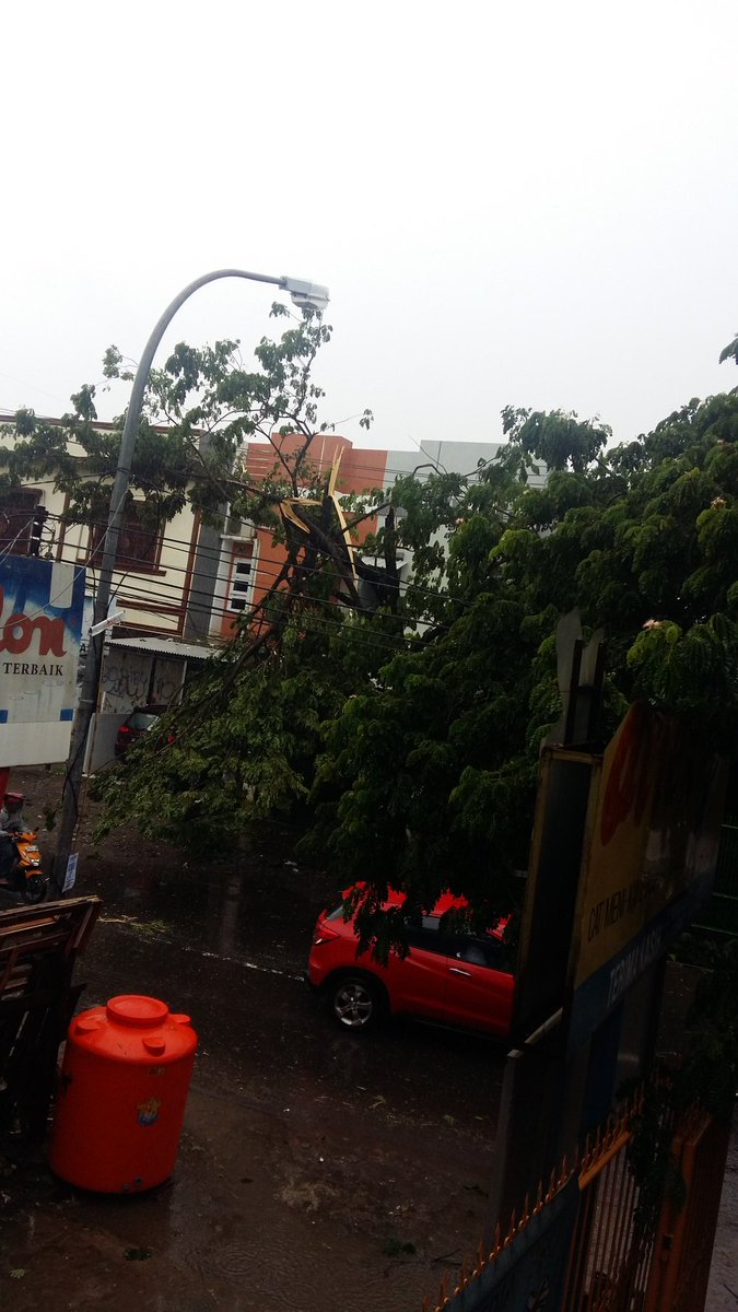 Borong raya bnyak pohon tumbang...hindari <a href="/SupirPete2/">Supet</a> <a href="/Daeng_Info/">Daeng Info</a> <a href="/DiskominfoMks/">DISKOMINFO MAKASSAR</a>